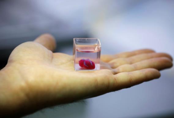 大突破！3D打印首次打印有细胞、血管的完整心脏