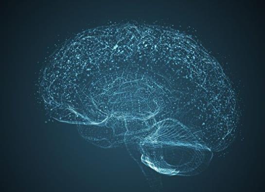 新技术在盲人大脑上直接成像