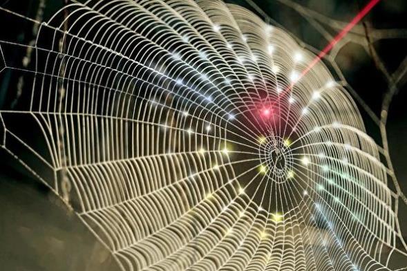 生物医学3D成像从蜘蛛网获得灵感
