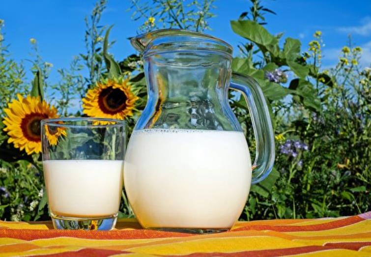 以色列开发用酵母生产的牛奶 外观口味相同插图