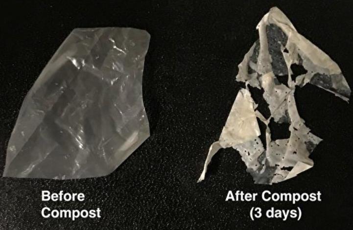 新型塑料问世，温水浸泡即降解成为肥料-起风网